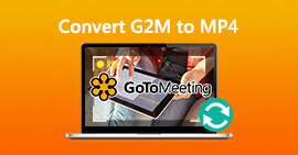 Converteer G2M naar MP4