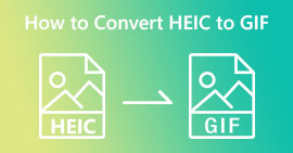 Convert HEIC to GIF