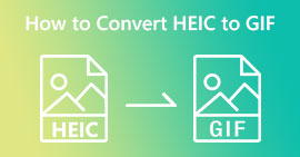 Converti HEIC in GIF