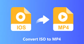 Konverter ISO-filer til MP4