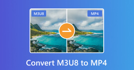 Converteer M3U3 naar MP4