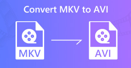 Конвертировать MKV в AVI