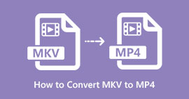 MKV'yi MP4'e dönüştürün