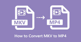 Converteer MKV naar MP4