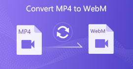 Converti MP4 in WebM