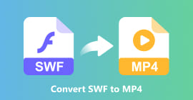 Convert SWF to MP4