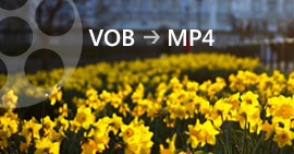 Vob'u MP4'e dönüştürün