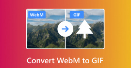 WebM'yi GIF'e dönüştürme