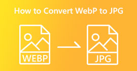 Konwertuj WebP na JPG PNG