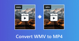 Sådan konverteres WMV til MP4