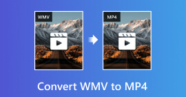 Hur konvertera WMV till MP4