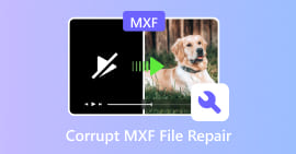 손상된 MXF 파일 복구