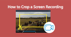 Crop a Screen Recording