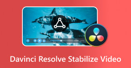 Davinci Resolve Stabilize Video