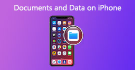 Jak vymazat dokument a data z iPhone / iPad