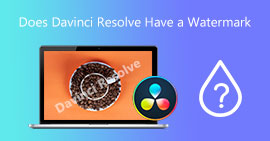 DaVinci Resolve'nin Filigranı Var mı?