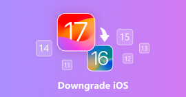 downgrade iOS