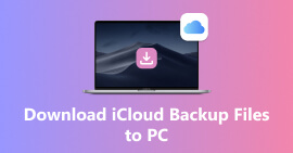 Download Icloud To Pc