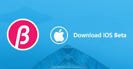 Download iOS 18/17/16/15/14/13 Beta on iPhone