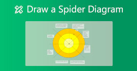 Teken een spindiagram