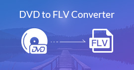 Convertitore da DVD a FLV