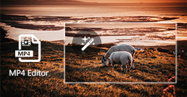 Top 5 Free MP4 Video Editor