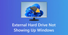 External Hard Drive not Showing up in Windows