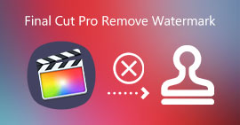 Final Cut Pro Remove Watermark