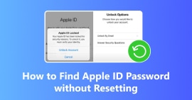 Find Apple Id Password