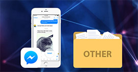 Facebook Other Messages