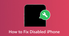 Επίλυση του Disabled iPhone