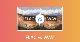 FLAC vs. WAV