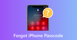 Vergeet de iPhone-toegangscode