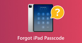 Forgot iPad Password