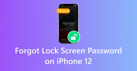 Forgot Iphone 12 Passcode