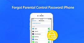 Forgot Parental Control Password iPhone