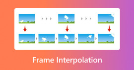 Frame Interpolation