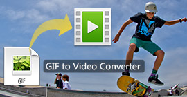 GIF till Video Converter