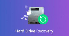 Harddisk Recovery