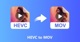 HEVC naar MOV