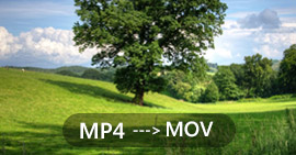 Converteer MP4 naar MOV