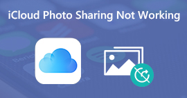 iCloud Photo Sharing werkt niet