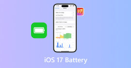 iOS 17 待機