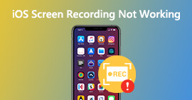 Screen Recording Not working