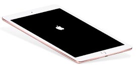 Apple 로고에 고정된 iPad 수정