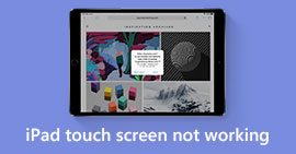 Dotyková obrazovka iPadu nefunguje