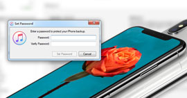 iPhone Backup Password Recovery