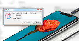 iPhone Backup Password