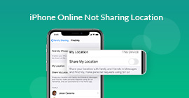 iPhone Online deelt locatie niet