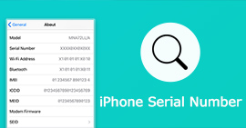iPhone Serial Number